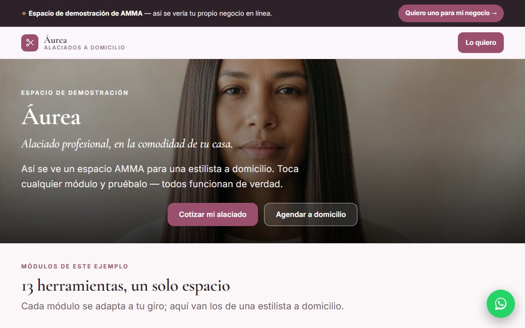 Demo de un Espacio AMMA